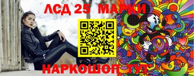 индика Жуковский