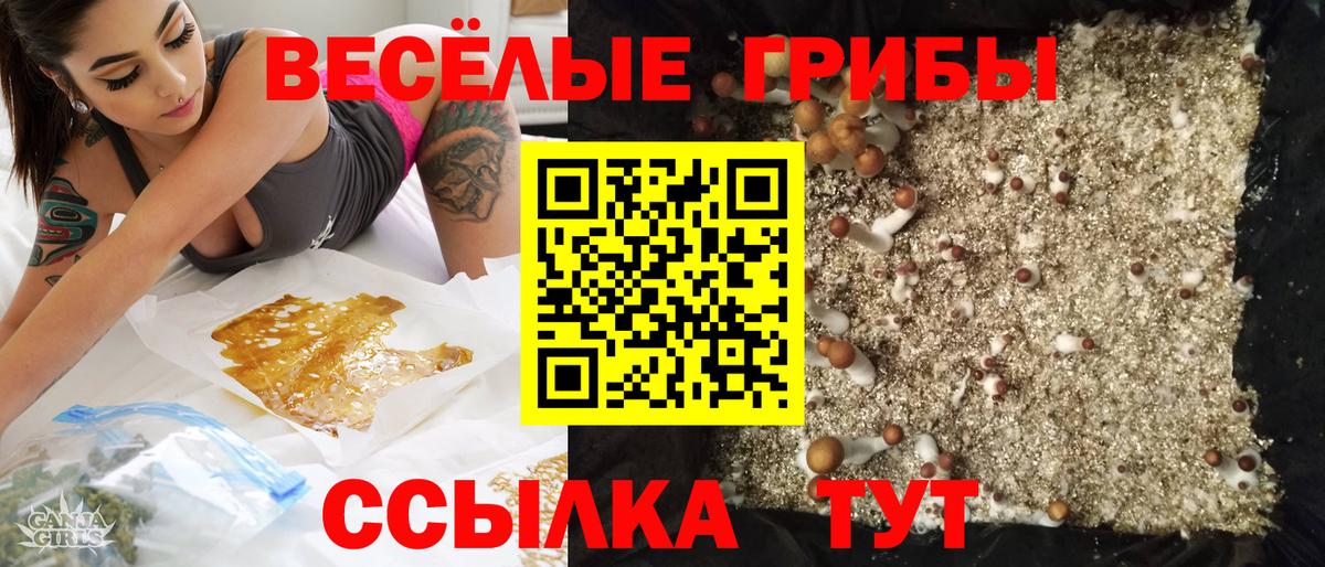 Назарово  Галлюциногенные грибы мухоморы  Галлюциногенные грибы Psilocybe  Вход с VPN 